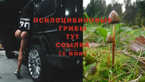 меф Богородск